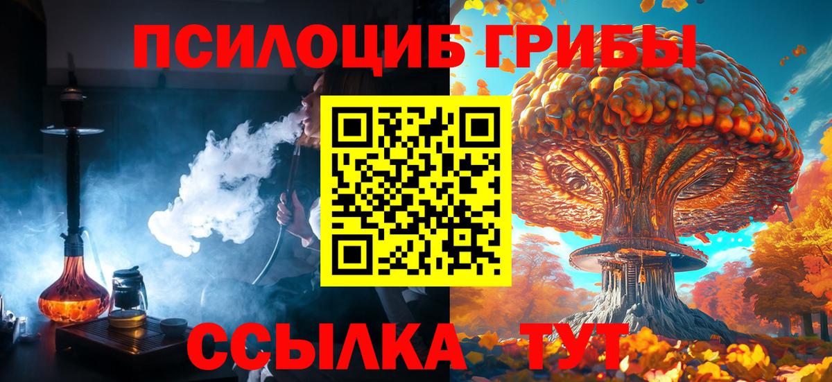 Псилоцибиновые грибы Magic Shrooms  Галлюциногенные грибы MAGIC MUSHROOMS  купить  сайты  Моздок  Вход с VPN 